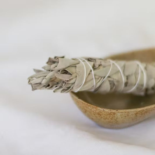 Weißer Salbei Bündel 10 cm