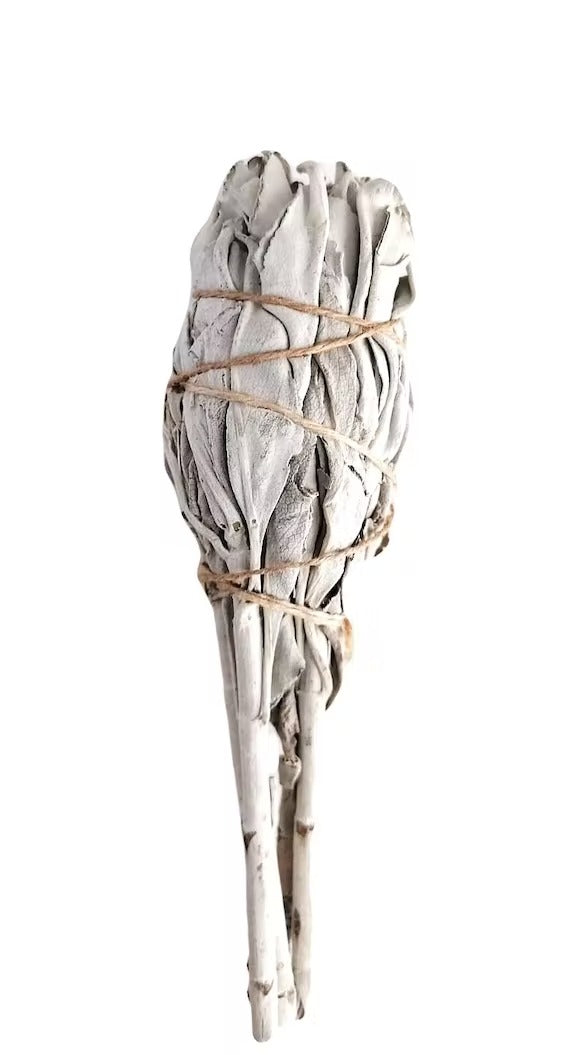 Weißer Salbei Räucherfackel 10-12 cm. Reinigung und spirituelle Stärke